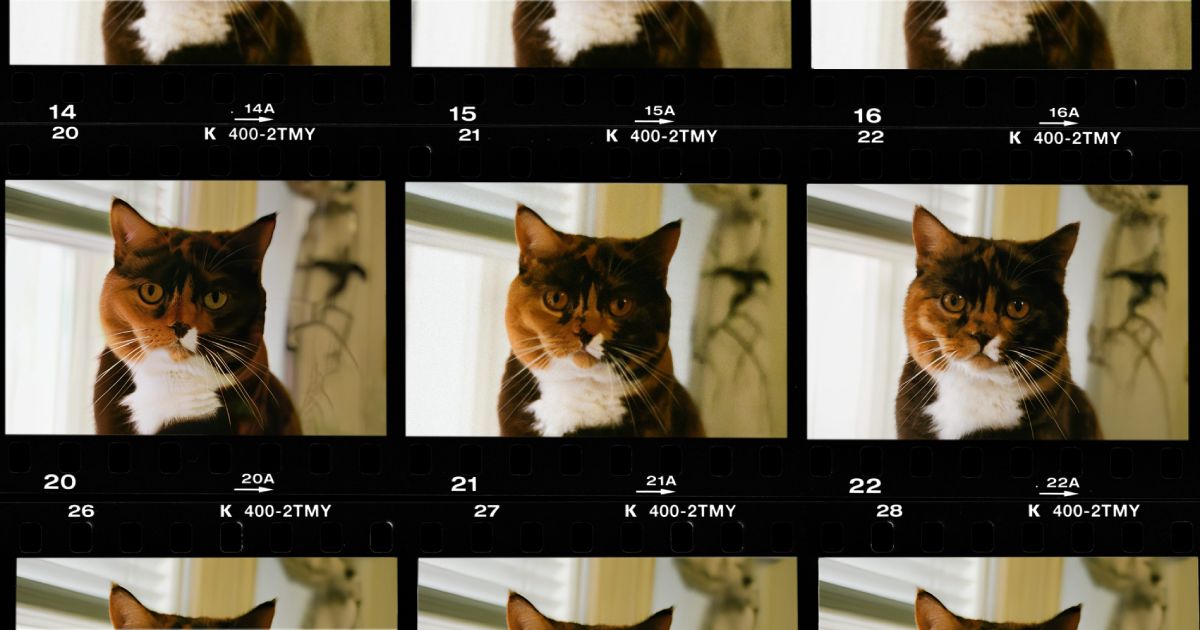 Nine identical close-up portrait frames from a 35mm film contact sheet arranged in a grid, representing the multiple AI upscaling models compared in this post.